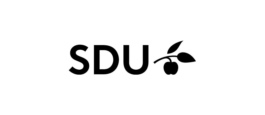 South Denmark University
